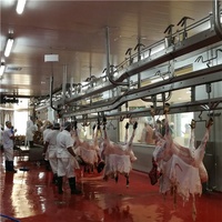 Équipement d'abattage de moutons avec convoyeur pour usine de transformation de viande ovine