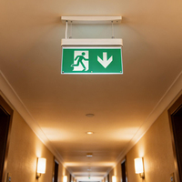 Panneau d'indication d'urgence en plastique personnalisé AC/DC IP20 6000K LED avec batterie Li-FePO4 3 heures 20000 heures Blanc+Vert