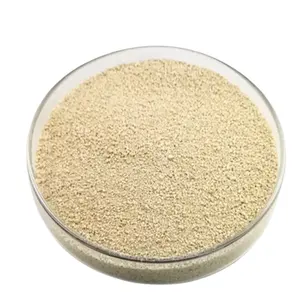 L-Lysine Mono Hydrochloride thức ăn lớp L lysine HCl 98.5% cho dinh dưỡng động vật