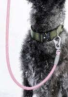 NOVIPET Laisse de chien en PVC brillant de luxe, matériau dégradable, laisse de chien rétractable, imperméable, respectueuse de l'environnement, anti-traction
