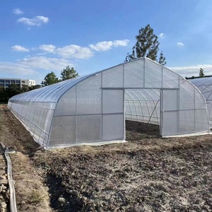 חממה חקלאית מסחרית גדולה, חד-מפתחית, עם מערכת אוורור, השקיה ואנרגיה סולארית - Product Image 4