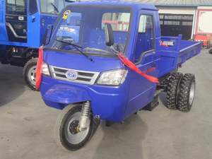 Triciclo Diesel per Lavori Pesanti - Veicolo per il Trasporto di Sabbia e Terreno per Progetti di Ingegneria - Product Image 5