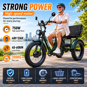 <span class=keywords><strong>Tricycle</strong></span> <span class=keywords><strong>électrique</strong></span> à gros pneus pour la neige, certifié EEC, 750W, pour passagers et marchandises, avec batterie au lithium pour adultes - Product Image 6