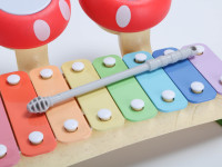 Educational Music Toys 2-in-1 Piano Xylophone and Mushroom Drum Rainbow Color 8 Scales Plastic Keyboard Instrument Play
