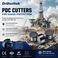 Защитные резцы Drillsoltek PDC для производства долот PDC с длительным сроком службы