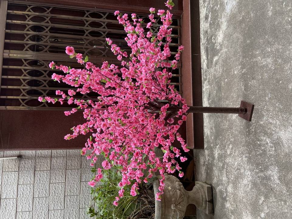 6 ft Artificial Peach Blossom Tree Pot for Photo Studio No Maintenance ...