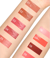 Haute Qualité Rouge À Lèvres Naturel Longue Durée Logo Soie Texture Vegan Teinté En Gros Personnalisé Marque Privée Rouge À Lèvres