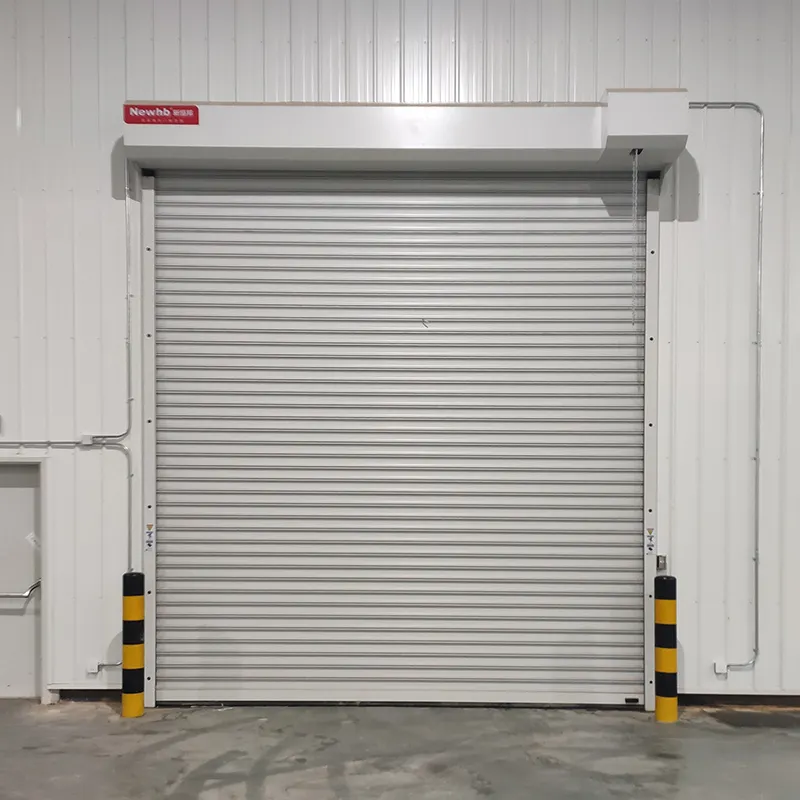 Sudeste Asiático Best Selling Custom Wind Load Doors Aço resistente a furacões Roll Up Doors