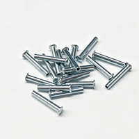 Rivets semi-tubulaires à tête plate de 3-6 mm en acier inoxydable et acier au carbone, rivets creux pour fixation industrielle, fabricant OEM sur mesure