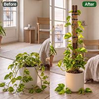 Treillis extensible en bois pour plantes en pot d'intérieur, support de plante extensible, treillis d'escalade 2-en-1 avec forme ajustable