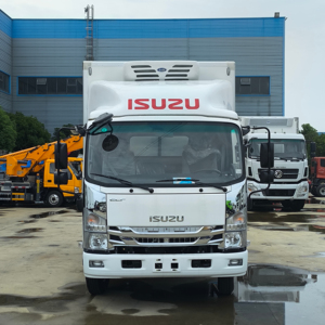 Camión Frigorífico Diésel Premium 4x2, Transmisión Manual, Capacidad de 10-12 Toneladas para Transporte de Alimentos Congelados y Helados - Product Image 1