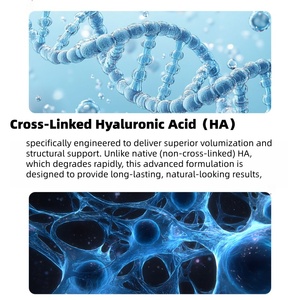 Ampollas <span class=keywords><strong>de</strong></span> Suero <span class=keywords><strong>de</strong></span> Ácido Hialurónico Puro Reticulado <span class=keywords><strong>de</strong></span> Marca Privada para <span class=keywords><strong>Aumento</strong></span> <span class=keywords><strong>de</strong></span> <span class=keywords><strong>Labios</strong></span>, Voluminizador y Antiarrugas - Product Image 5