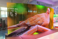 Écran LED transparent EagerLED 60% haute transparence pour intérieur P3.91-7.82 pour mur publicitaire