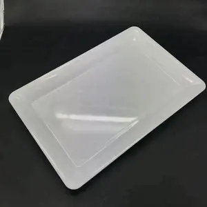 Piatti per alimenti rettangolari piatti in plastica campione gratuito per servire in plastica per feste