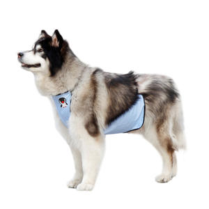 पालतू कार्टून कुत्ते बेलबैंड कोजी गोल्डन रिट्रीवर वाटरप्रूफ पॉलिएस्टर कपास समायोज्य लोचदार बारिश दिन पालतू बीब बड़े कपड़े - Product Image 5