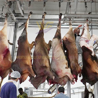 Projet clé en main d'abattoir, ligne d'abattage de bovins, équipement d'abattoir pour vaches, machine d'abattage de taureaux à vendre