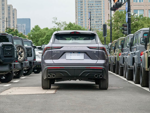 <span class=keywords><strong>Auto</strong></span> Usata Jietu Dasheng 2025 1.5T DCT Edizione Ultimate, Ampia Disponibilità, Prezzo Conveniente, Alta Qualità - Product Image 6