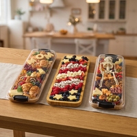 Massief houten & plastic moderne minimalistische rechthoekige fruit schaal met deksel, draagbaar buitenontwerp voor feestjes en bijeenkomsten