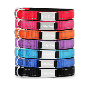 Collar de perro de nailon con etiqueta de identificación personalizada, collar de mascota duradero multicolor con grabado láser, placa de nombre personalizada - Product Image 1