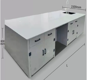 Mesa de Trabajo de Laboratorio LB-PP-02 de Alto Rendimiento, Recubierta con Polvo Anticorrosivo, para Laboratorio de Microbiología - Product Image 2