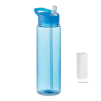 Bouteille d'eau en plastique PS écologique de 600 ml avec logo personnalisé, paille intégrée et couvercle à corde – Prête pour le voyage