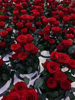Cadeaux pour la Saint-Valentin, rose éternelle naturelle au toucher réel, longue durée, conservée dans un dôme en verre, roses éternelles en verre