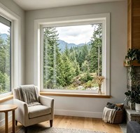 Fenêtre fixe moderne en PVC avec isolation phonique, vitrage, lumière naturelle, fenêtre panoramique pour bâtiments résidentiels et commerciaux