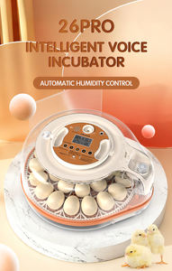 <span class=keywords><strong>2026</strong></span> नई प्रवृत्ति आई आई नियंत्रक 26 अंडे की हैचिंग मशीन 16 अंडे की कार इन्क्यूबेटर ब्रोडर स्वचालित चिकन अंडे इनक्यूबेटर - Product Image 3