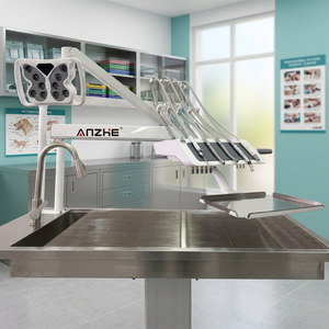 Unità di Trattamento Dentale Veterinario, Postazione Dentale All-in-One con Compressore d'Aria Silenzioso in Acciaio Inox 304 per Cliniche Veterinarie - Product Image 2