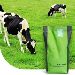 15 kg Meadow <span class=keywords><strong>Grass</strong></span> Garden Sow Bag Paquete de plantas Kit Perenne <span class=keywords><strong>Rye</strong></span> <span class=keywords><strong>Grass</strong></span> Cerdas para plantar pastoreo intensivo Producción de forraje de heno - Product Image 3