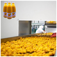 Topkwaliteit Mango Productielijn Puree Machine