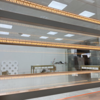 Vitrine réfrigérée de luxe pour pâtisseries et gâteaux avec cadre en acier inoxydable et verre trempé pour les pâtisseries