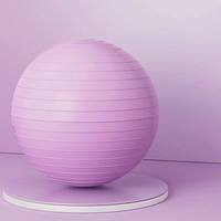 Ballon de Yoga et Pilates Anti-éclatement Premium 65 cm avec Pompe, Ballon d'Exercice en PVC Épaissi pour Chaise de Bureau, Assise Active et Entraînement de Stabilité