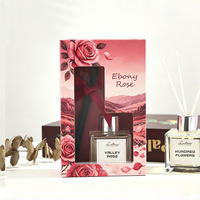 Diffuseur de parfum solaire en forme d'avion, 50 ml, en plastique, avec boîte cadeau, idéal pour les occasions de remise de diplôme et les événements professionnels