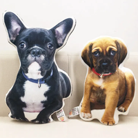 Forme d'oreiller personnalisée Anime Die Cut Pet Design coussin oreiller de photo dakimakura oreiller en forme personnalisée