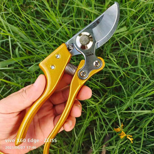 Tijeras de podar para viñas de montaña de 20-30 mm, herramienta de jardín bypass para cortar ramas de árboles frutales, acero aleado amarillo, fabricado en Taiwán - Product Image 4