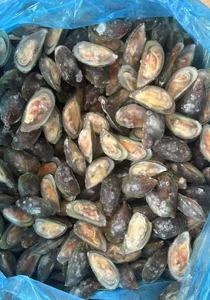 Mejillón verde congelado de media concha de origen chileno - Product Image 4