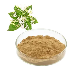 Best price pure Natural Honeysuckle Flower Extract powder 98% Chlorogenic Acid