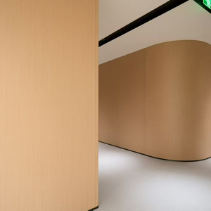 Aanpasbare hoogwaardige moderne decoratieve wandpanelen/wandpanelen voor accentmuren - Product Image 3