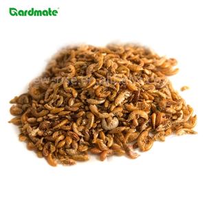 GARDMATE 1KG <span class=keywords><strong>Gammarus</strong></span> séché pour oiseaux sauvages Poissons Reptiles Tortues Terrapins & Rongeurs-Aliments de qualité supérieure à haute teneur en protéines et en matières grasses - Product Image 1
