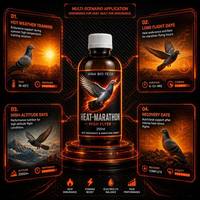 HEAT MARATHON Supplément d'endurance pour pigeons de course longue distance, haute volabilité, tolérance au chaleur, endurance et résistance 6000S