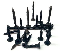 Caméra cachée pour cloison sèche, prix usine, vis noire pour cloison sèche, difficile à endommager