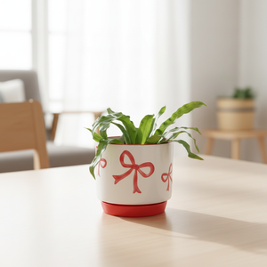 Jardinières en céramique sur mesure pour la décoration de table de bureau, de maison ou d'atelier créatif pour la Saint-Valentin - Product Image 3