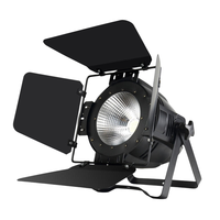 Lumière disco de scène de fête blanc/blanc chaud 100w cob led par avec porte de grange