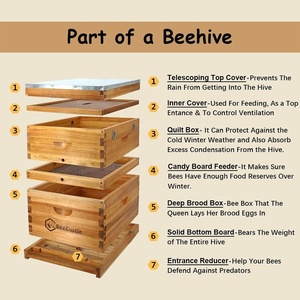 8 Frame Beehive Candy Board <span class=keywords><strong>Colmena</strong></span> en alimentador de abejas ensamblado para <span class=keywords><strong>colmena</strong></span> - Product Image 5