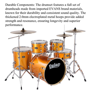 Ensemble de batterie de jazz professionnel MD-12 Ouluo pour adultes et enfants Performance de cinq tambours avec vernis de cuisson basse Kit de batterie de jazz - Product Image 3