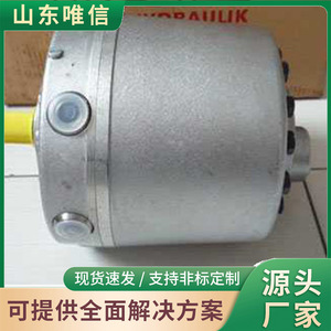ปั๊มไฮดรอลิกสแตนเลส SHB3 รุ่น RK ซีรีส์ แบรนด์ Shandong Weixin แบบลูกสูบเรเดียล - Product Image 3
