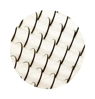 Extensions de cils pré-fabriquées en grappes effet anime, cils segmentés en gros pour salons de beauté, artistes en cils et distributeurs