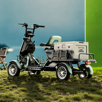 Scooter de mobilité multifonctionnel S20-19 à batterie lithium et frein hydraulique pour la distribution de marchandises en milieu communautaire