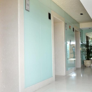 5-8MM Painted Glass: White, Black, Low Iron Options | Grey Back Painted & Colorful Lacquered for Table Top Furniture Glass Sheet - Product Image 3